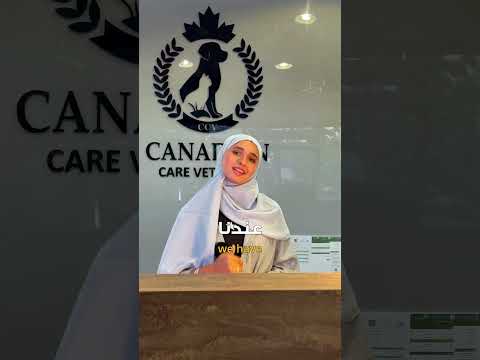 canadian promo final