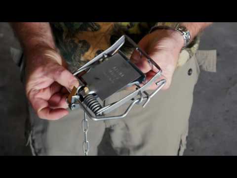 SettingThe Fenn Trap MK4