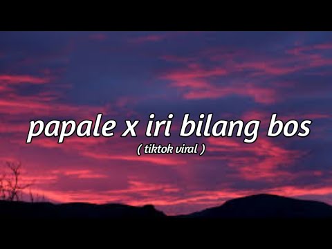 🔊🎶Dj Papale Papale - IRI BILANG BOS🔊🎶 | Dj TikTok Viral