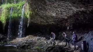 In Hearts Wake - Divine (Official Music Video)