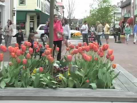 Cape May Tourism Video.mov