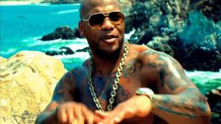 Flo Rida - Whistles