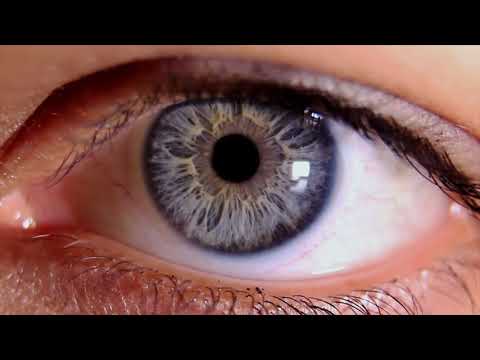 Teaser Trailer for "I, The Camera," a new short film