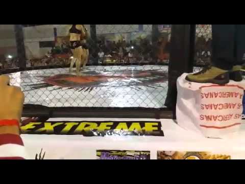 Rayanne Amanda Bjj/mma