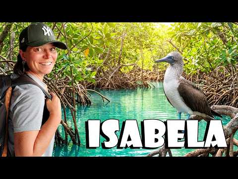 Isabela Island, Galápagos:  from Seahorses to Sea Lions