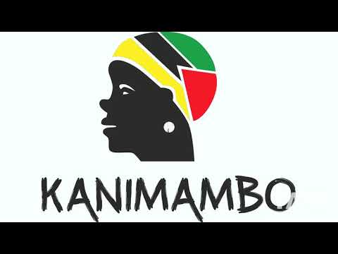 Kanimambo Out Of My Car - João Maria Tudela & Hasil Adkins | RaveDJ