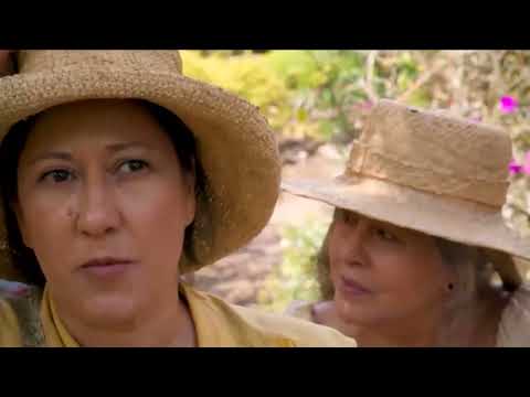 Las flores de la guerra - Serie completa