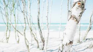 Christian Löffler - Licht