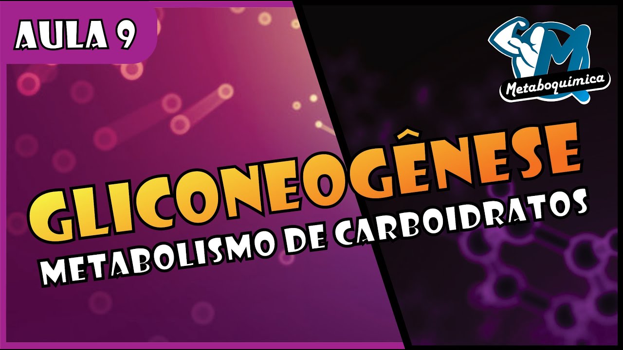 Gliconeogênese Bioquímica - Aula completa | Prof. Andrews Marques