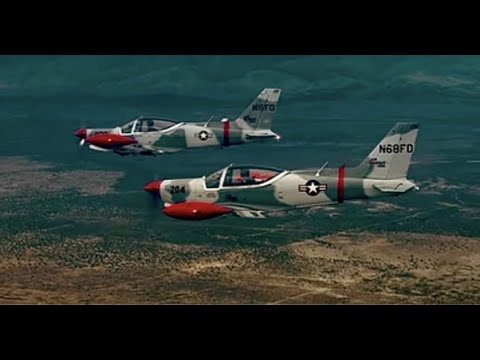 Classic Warbirds in Action