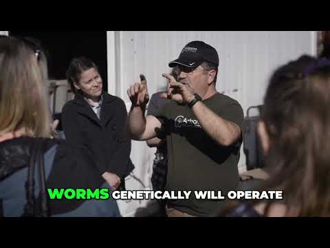 Transform Food Waste: The Power of Worm Composting
