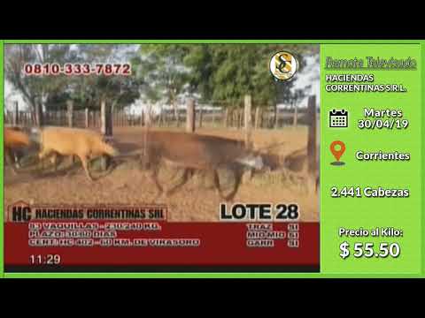 30-04-19 - Venta de Hembras - Remate televisado de Haciendas Correntinas - Corrientes