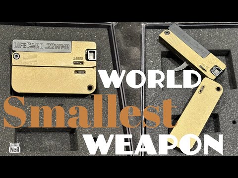 WORLD SMALLEST GUN LifeCard .22