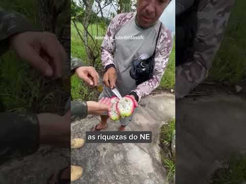 Serra da Raiz #paraiba #nordeste