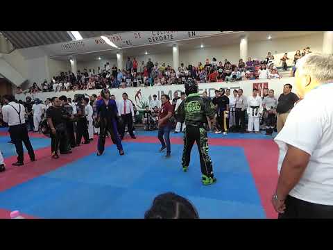 COPA BONSAI 2019(18)