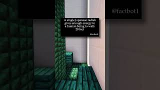 Download lagu Japanese Radish 🧅 mp3