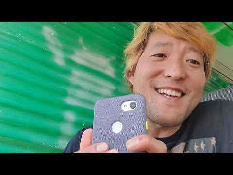 I DROPPED my Pixel 3A XL part 2.