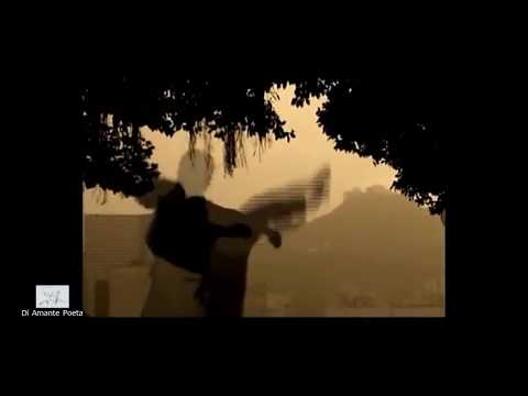 Kung Fu - Sifu Grand Master Paolo Cangelosi