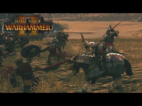 The Reiksguard Ride Again // Total War: Warhammer II Online Battle #111