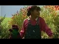 Barney Song I Wish There Were School Everyday Barney Goes To School
