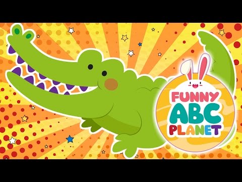 ABC ALPHABET  "A" ALLIGATOR