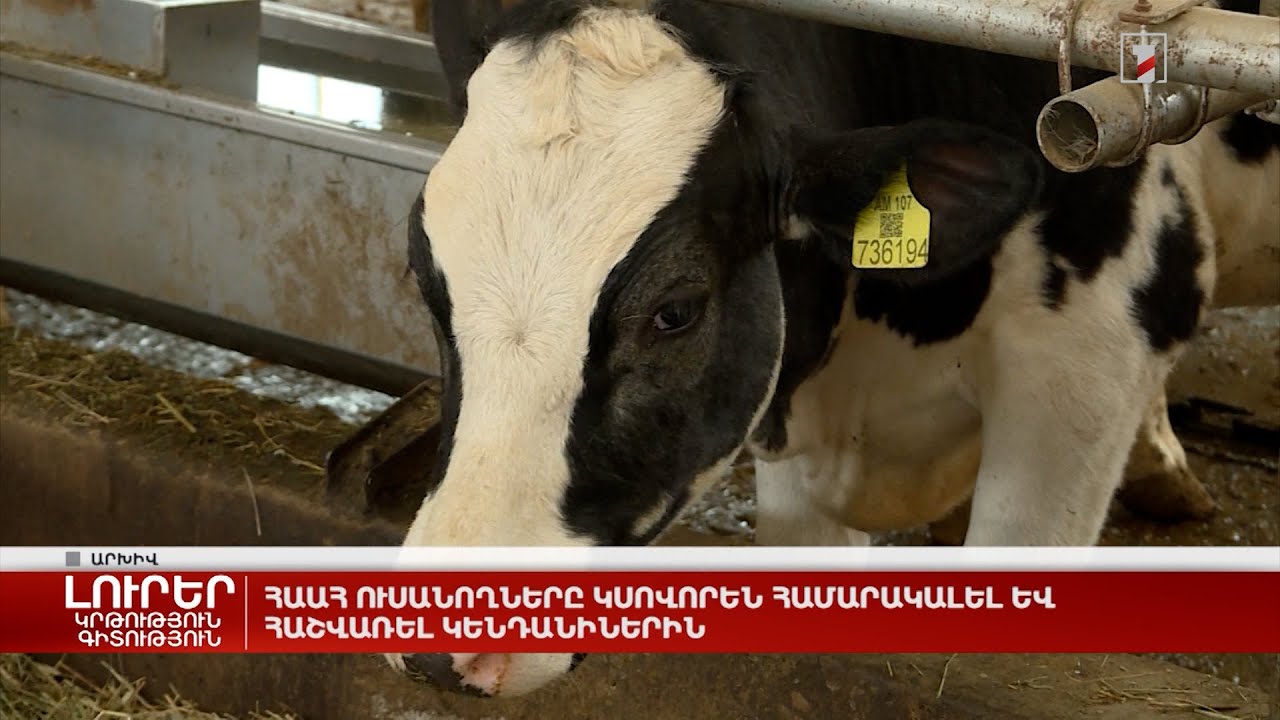 ՀԱԱՀ ուսանողները կսովորեն համարակալել և հաշվառել կենդանիներին