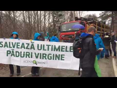 Protestul care a fost urmărit LIVE de 4 milioane de români pe Facebook