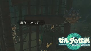 新天地へ向かう【＃１０】【ゼルダの伝説 ティアーズ オブ ザ キングダム】