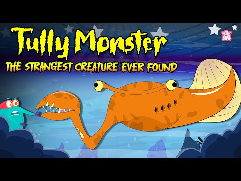 Strangest Creature Ever Found - Tully Monster | Mystery of Tullimonstrum | Extinct Creatures