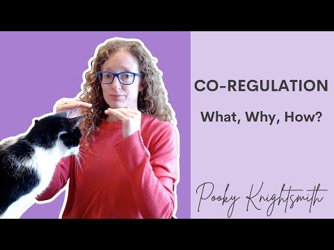6 Steps to Effective Co-Regulation