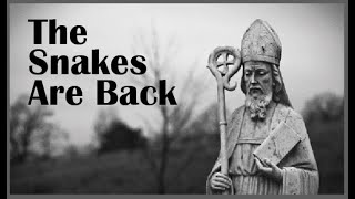 &#39;Catholic&#39; Ireland: THE SNAKES ARE BACK