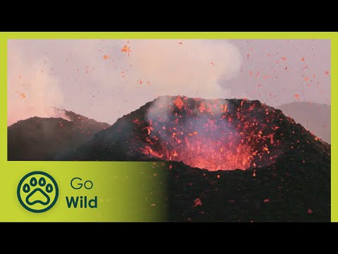 Volcanic Waters - Wild Italy: Living with Volcanoes 1/3 - Go Wild
