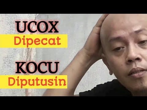 video-ngakak-ucox-dipecat-dari-kerjaan-kocu-diputusin-pacar