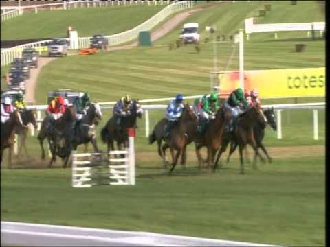Cheltenham 2011 Final Approach