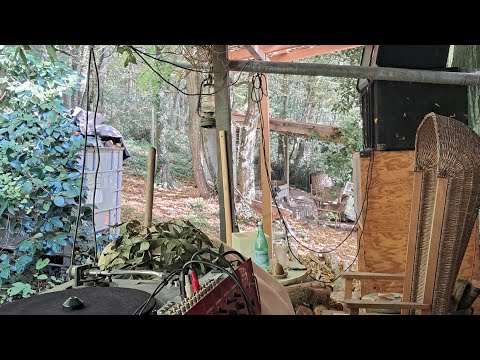 Poorman's Hifi classic roots rock reggae selection