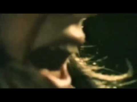 Eurovision 1972 PREVIEW Austria - MILESTONES "Falter Im Wind"