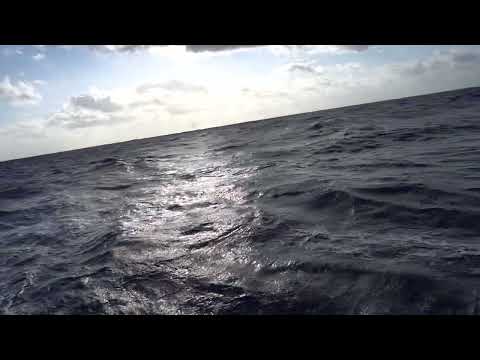 wide open ocean C0008