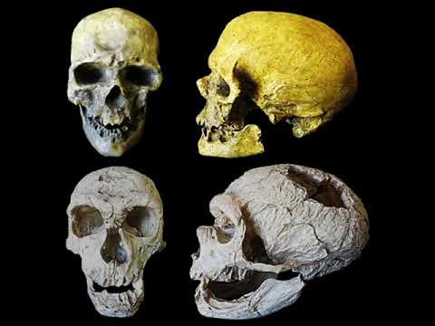 MENAK Y MISTER EGO - CROMAGNONES