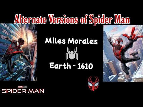 Alternate Versions of SpiderMan | Spider Verse | Web Warriors