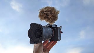 We got a new camera!