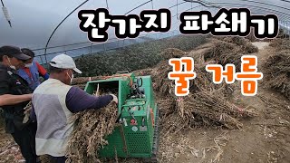 참깨대 완전 파쇄 꿀 거름^^