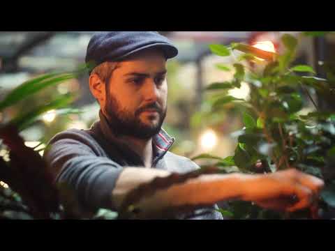 CitaVerdi @Tour&Taxis Plantes Intérieures Mur Végétal