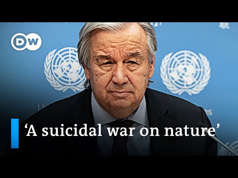 世界各國領導人未能在2020年遏制氣候變化｜DW News (World leaders fail to curb climate change in 2020 | DW News)