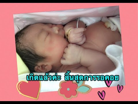 ความอ่อนแอ lungwort ผู้เชี่ยวชาญด้านระบบปัสสาวะเพื่อเพิ่มสมาชิก