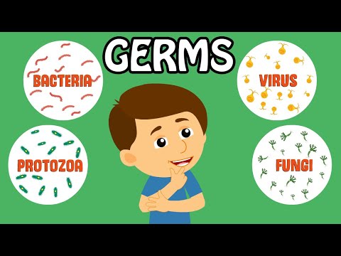 Germs for kids | What are Germs? | How do germs spread? | How do we see germs?