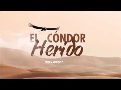 La Estrofa que no salio en el Regreso del Condor - Diomedes Diaz  #diomedistas #martinistas