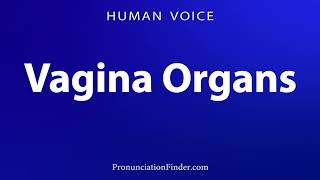 Download lagu How To Pronounce Vagina Organs mp3