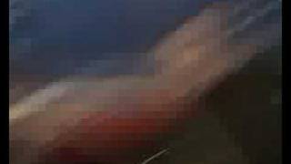 JUNIOR NATURAL FREESTYLE WITH SHAGGY GENERATION FM  PARIS FR