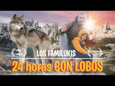 24 HORAS con LOBOS // Vlog VIAJE  con MI HIJO ¡¡Alucinante!!