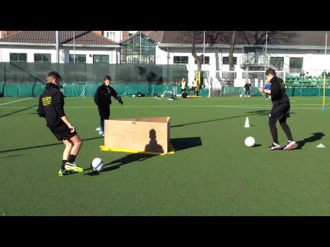 Asd Lesna Gold "Individual School"